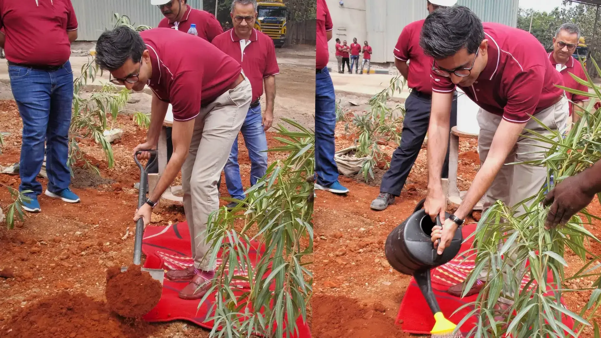 Lake Cement Plants Trees in the Annual Ceremony